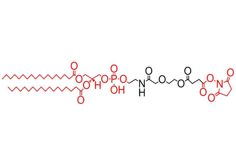 二硬脂酰磷脂酰乙醇胺-聚乙二醇-活性脂,DSPE-PEG-NHS