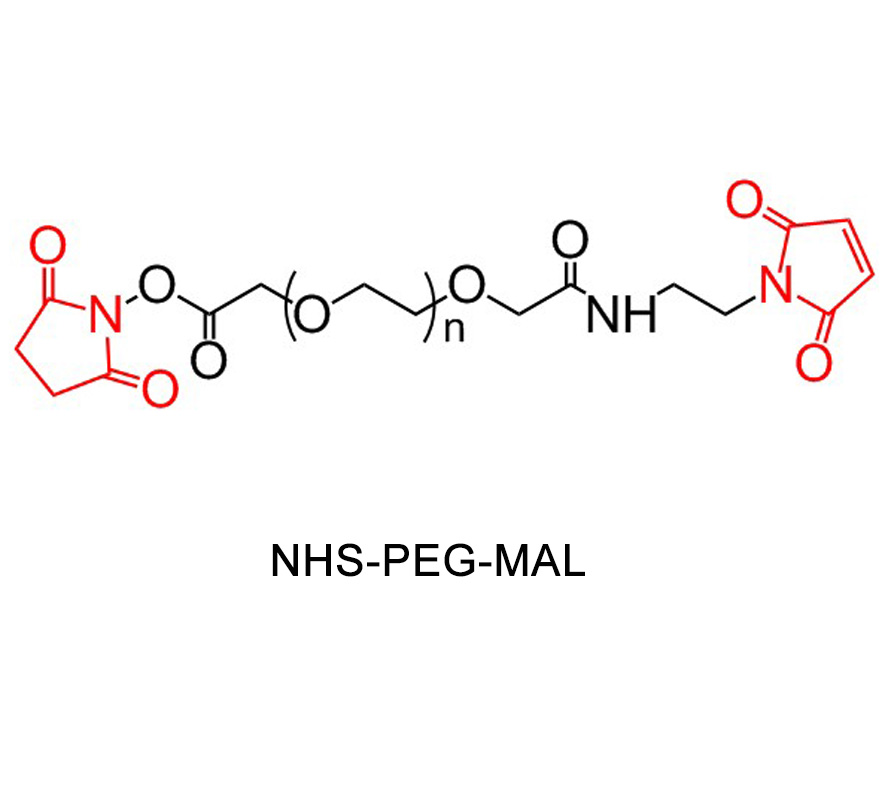 马来酰亚胺-聚乙二醇-活性脂  N-羟基琥珀酰亚胺,Mal-PEG-NHS