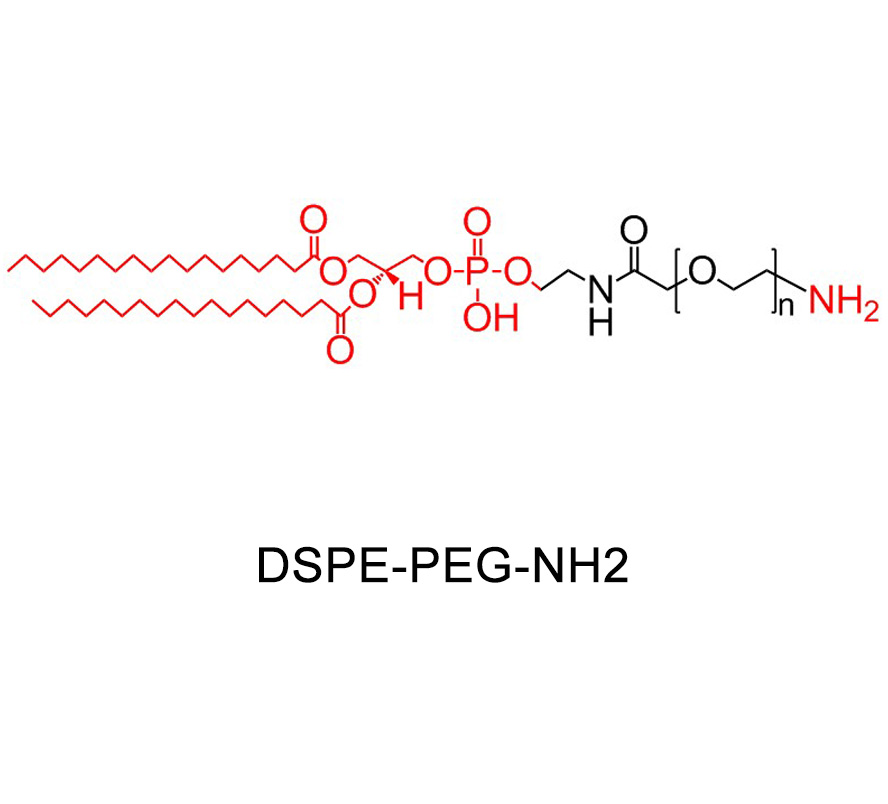 二硬脂酰磷脂酰乙醇胺-聚乙二醇-氨基,DSPE-PEG-NH2