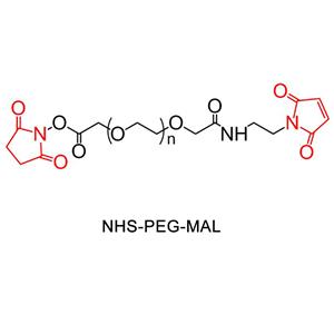 马来酰亚胺-聚乙二醇-活性脂  N-羟基琥珀酰亚胺