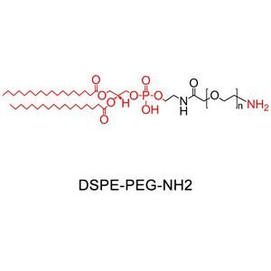 二硬脂酰磷脂酰乙醇胺-聚乙二醇-氨基,DSPE-PEG-NH2