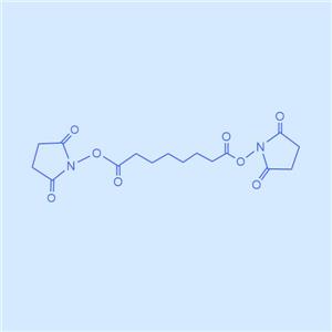 二(N-羟基琥珀酰亚胺)辛二酸酯,DSS Crosslinker