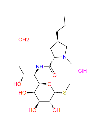 鹽酸林可霉素一水合物,Lincocin Hydrochloride Monohydrate