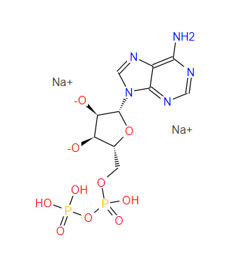 腺苷-5'-二磷酸二钠盐,Adenosine-5'-diphosphate disodium salt