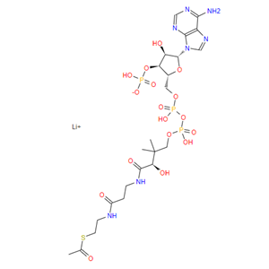 乙酰辅酶A,三锂盐；75520-41-1