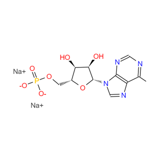 5'-腺嘌呤核苷酸二钠盐;4578-31-8