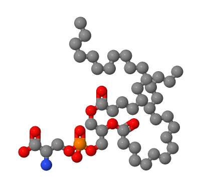 3-SN-磷脂酰-L-丝氨酸,PHOSPHATIDYL SERINE