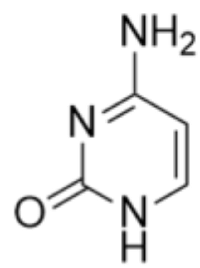 胞嘧啶,Cytosine