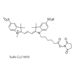 磺化Cy3-NHS 活化酯,Sulfo-Cy3 NHS ester