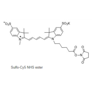 磺化Cy5-NHS 活化酯,Sulfo Cy5 NHS ester