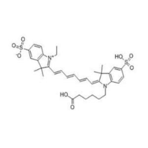 水溶性花菁染料CY7荧光标记试剂