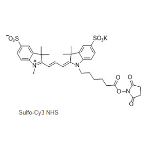 磺化Cy3-NHS 活化酯