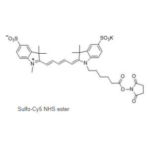 磺化Cy5-NHS 活化酯,Sulfo Cy5 NHS ester