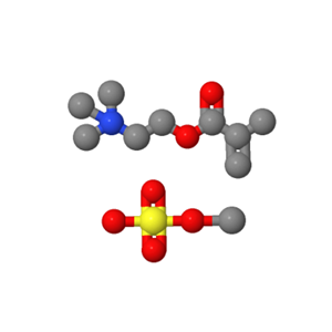 6891-44-7；N,N,N-三甲基-2-[(2-甲基-1-氧代-2-丙基)氧]-乙氨甲基硫酸酯