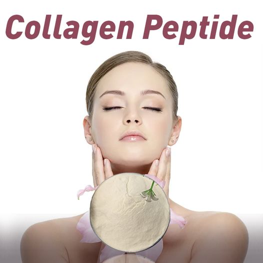 深海鱈魚小分子肽魚膠原蛋白肽,marine collagen peptide