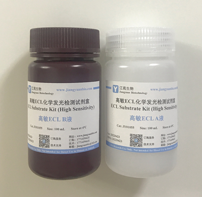 高敏ECL化学发光检测试剂盒,ECL Substrate Kit (High Sensitivity)