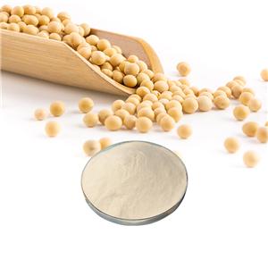 活性大豆肽,soybean peptide