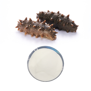 高品質(zhì)100%純海參肽,Sea cucumber peptide