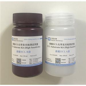 高敏ECL化学发光检测试剂盒,ECL Substrate Kit (High Sensitivity)