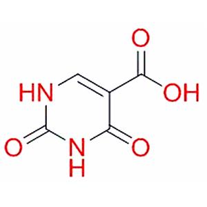 脲嘧啶-5-羧酸,Uracil-5-carboxylic acid