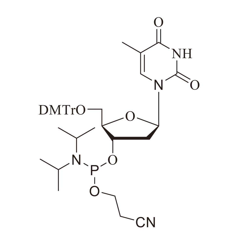 dT亚磷酰胺单体