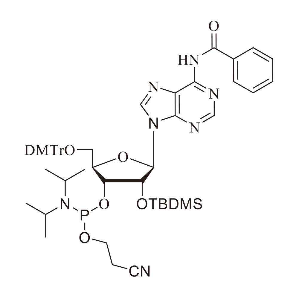 RA-TBDMS亚磷酰胺单体