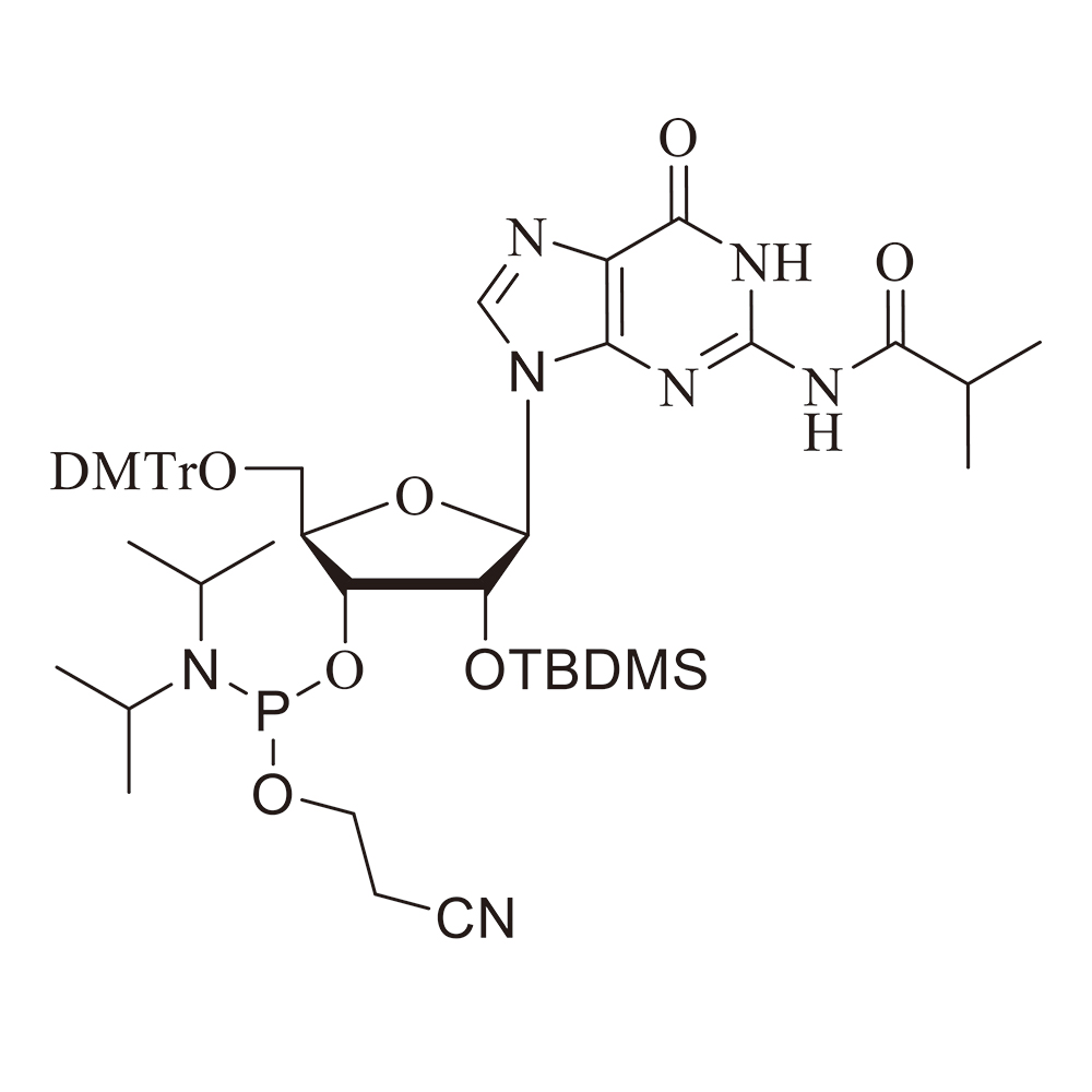 RG-TBDMS亚磷酰胺单体