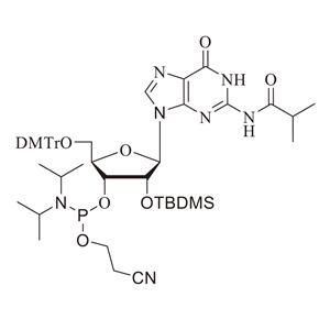 RG-TBDMS亚磷酰胺单体