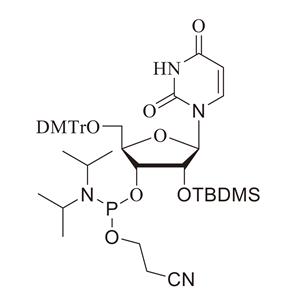 RU-TBDMS亚磷酰胺单体