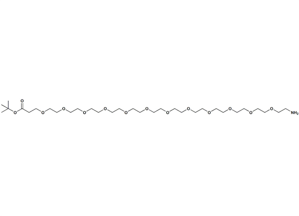 氨基-PEG12-叔丁酯,Amino-PEG12-t-butyl ester