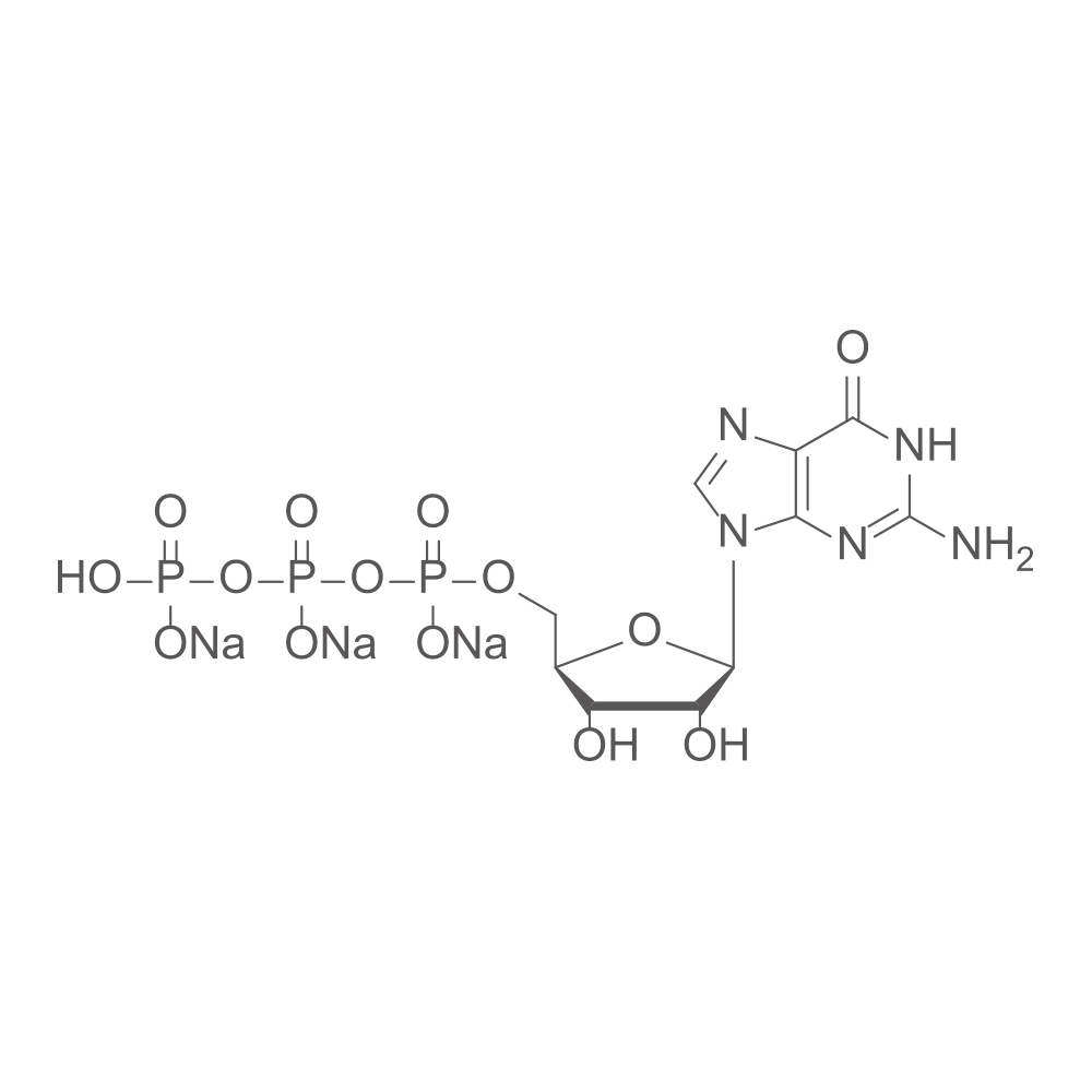 鸟苷-5'-三磷酸,Guanosine 5'-triphosphate