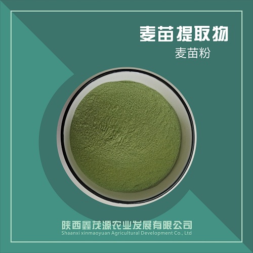 麥苗粉,Wheat seedling powder