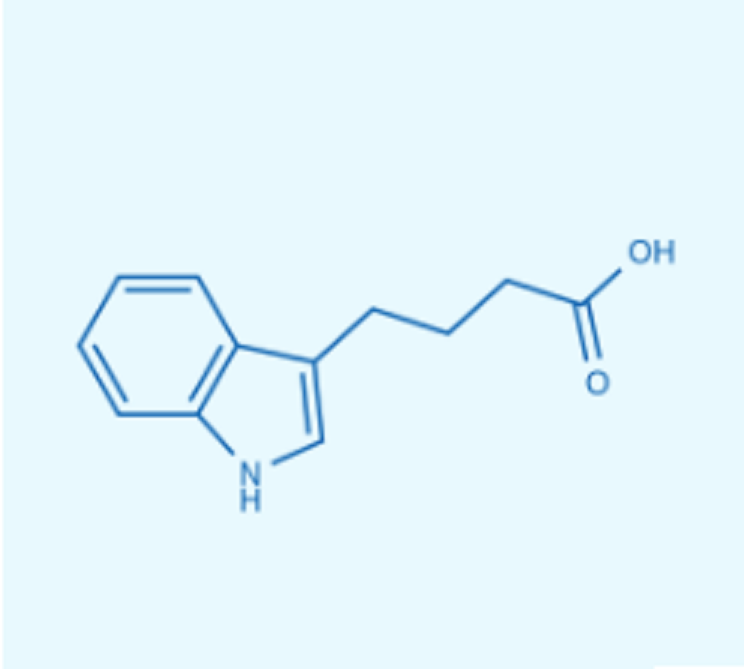 吲哚-3-丁酸,Indole-3-butyricacid