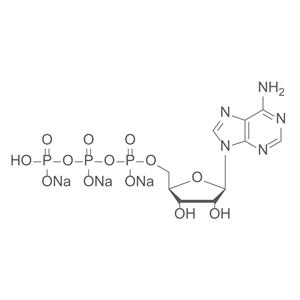 腺苷-5'-三磷酸