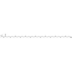 氨基-PEG12-叔丁酯