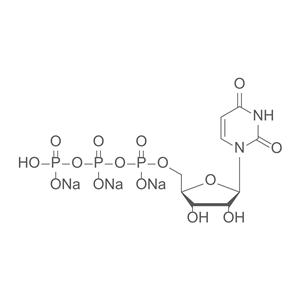 尿苷-5'-三磷酸