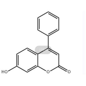 7-羟基-4-苯基-2H-苯并吡喃-2-酮