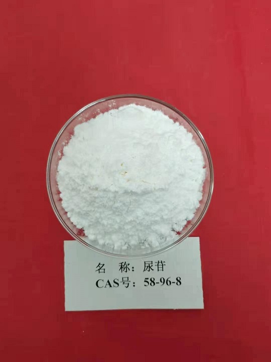 尿苷,Uridine