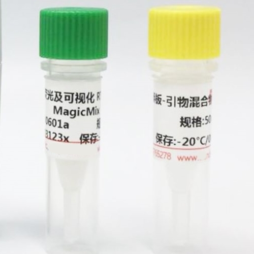 熒光及可視化 RT-LAMP 擴(kuò)增試劑盒,Fluorescent and Colorimetric RT-LAMP Kit