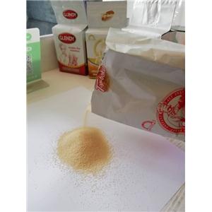 Active Dry Yeast For Baking/Baker Yeast