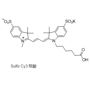 磺酸基-Cy3 羧酸