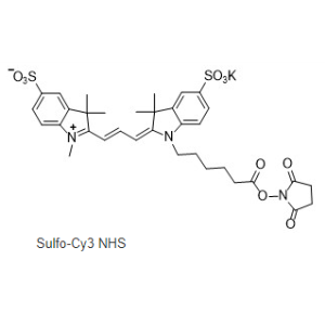 磺化Cy3活化酯