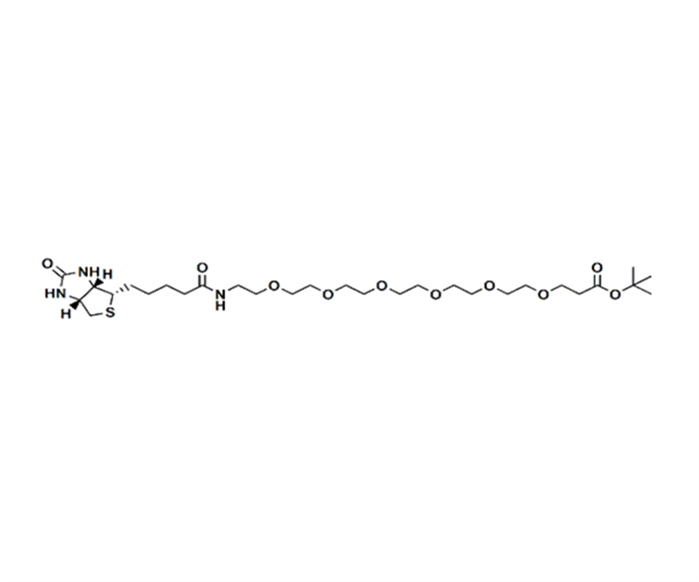 生物素-PEG6-丙酸叔丁酯,Biotin-PEG6-t-butyl ester