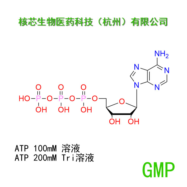 腺苷三磷酸,ADENOSINE 5'-TRIPHOSPHATE