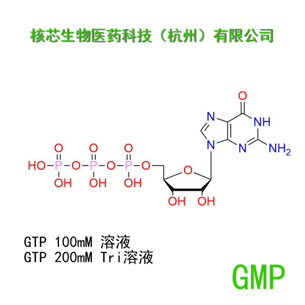 鸟苷三磷酸,Guanosine 5'-TRIPHOSPHATE