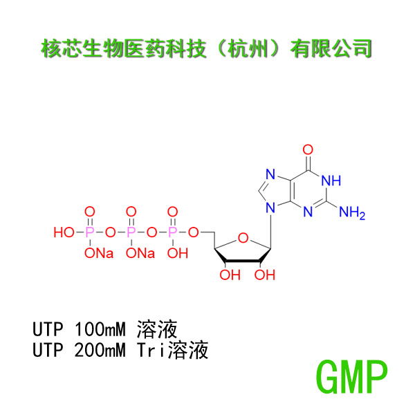 尿苷三磷酸,Guanosine 5'-TRIPHOSPHATE