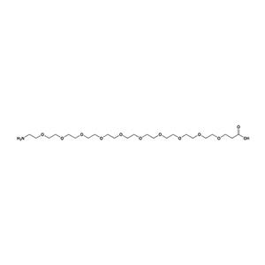 氨基-PEG10-羧酸