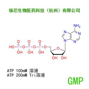 腺苷三磷酸,ADENOSINE 5