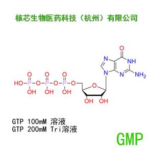 鸟苷三磷酸,Guanosine 5