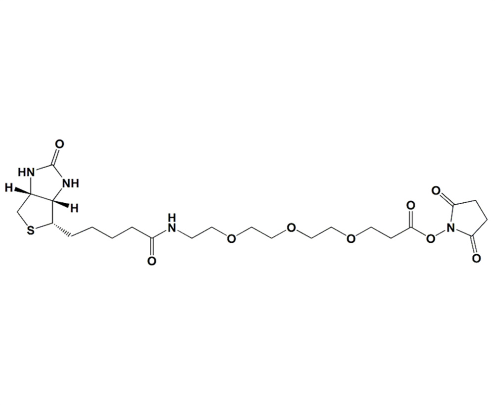 生物素-PEG3-琥珀酰亞胺酯,Biotin-PEG3-NHS Ester